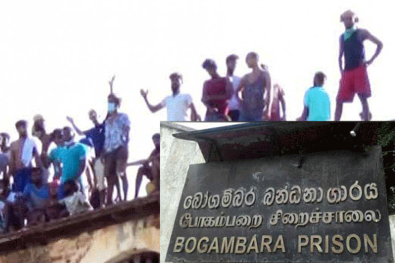 போகம்பறை சிறைக் கைதிகள் PCR மேற்கொள்ளுமாறும்,​பிணை வழங்குமாறு கோரியும் போராட்டம்!
