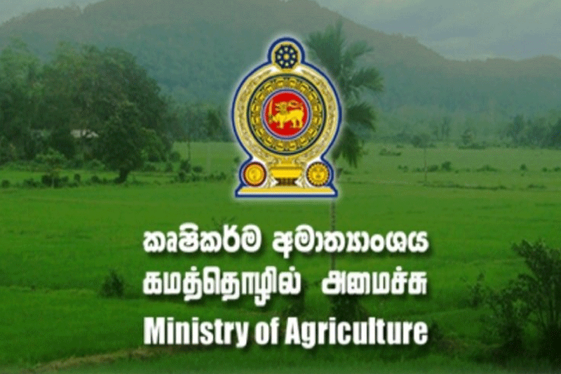 பசளை நெருக்கடியால் கமத்தொழில் அமைச்சின் செயலாளர் ராஜினாமா!