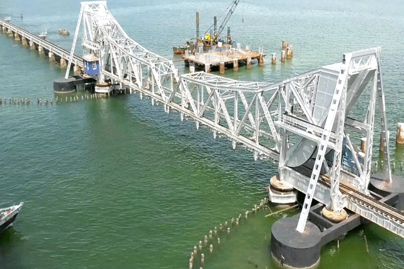 இராமநாதபுரம் கீழக்கரை கடலில் இறந்து கரையொதுங்கும் மீன்கள்!