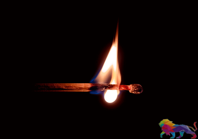 225, வாக்காளர்களின் பிழையே தவிர பாராளுமன்ற ஜனநாயகத்தில் பிழை இல்லை! அசோக்க ஹந்தகம