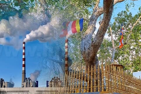 நுரைச்சோலையால் ஆபத்தை எதிர்கொண்டுள்ள ஜயஸ்ரீ மஹா போதி மரம்