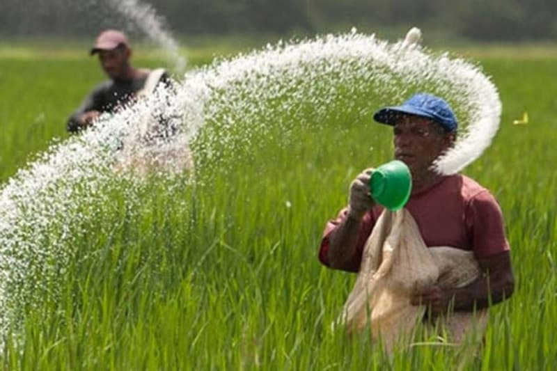 இரசாயன உர இறக்குமதிக்கான தடை தளர்வு