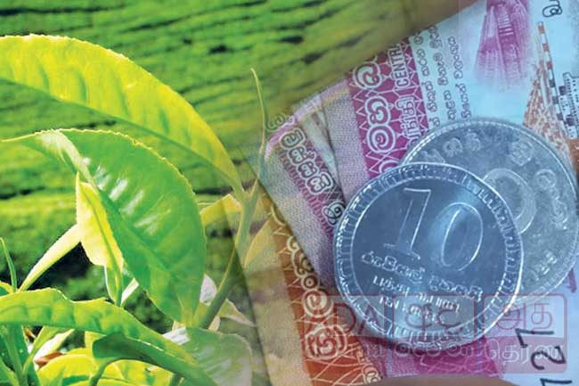 ஏற்றுமதி தேயிலைக்கு உரிமக் கட்டணம்