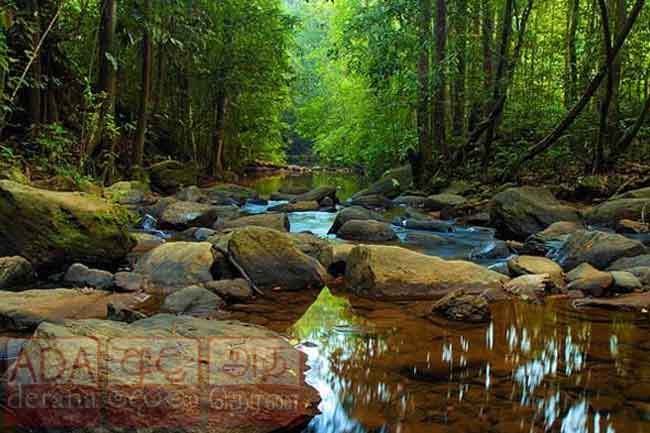 சிங்கராஜா வனப்பகுதியில் ஈரானியர்கள் மூவர் கைது