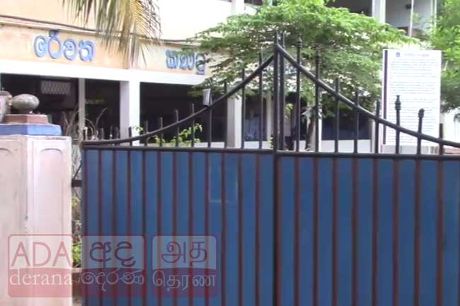 நாய் உண்ணியால் மூடப்பட்ட பாடசாலை