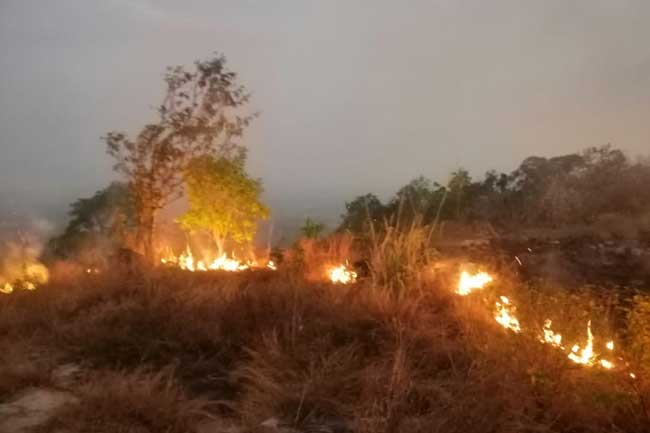 பெல்மடுல்லயில் பற்றி எரிந்த காடு