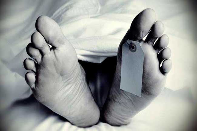கனடாவில் இருந்து வந்தவர் கீழே விழுந்து உயிரிழப்பு