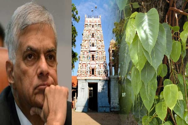 யாழ்.சுழிபுரம் முருகன் ஆலய வர்த்தமானி விவகாரம்! மௌனம் காத்த அமைச்சர் - ரணில் வழங்கிய உறுதிமொழி