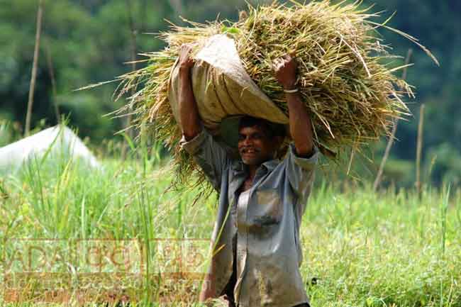 ஜனாதிபதியிடம் இருந்து சாதகமான பதில்!