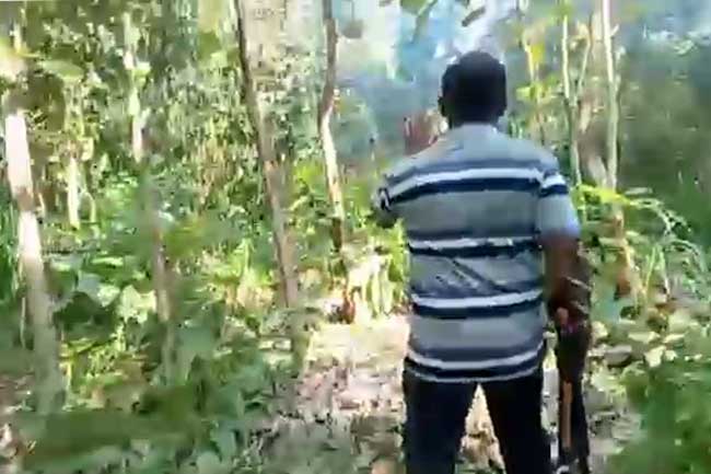 காட்டு யானை தாக்கி வனவிலங்கு அதிகாரி பலி