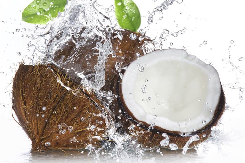 தேங்காய் அறுவடை மீண்டும் குறையும்: விலை மேலும் அதிகரிக்கும்!