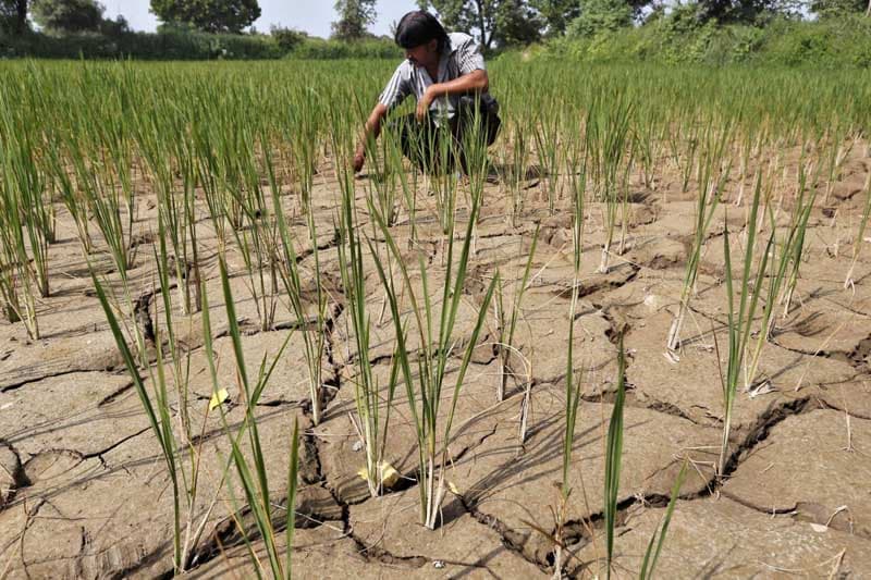 எல் நினோ குறித்து சூதாடாமல் அபாயங்களை எதிர்கொள்ளத் தயாராவோம்!