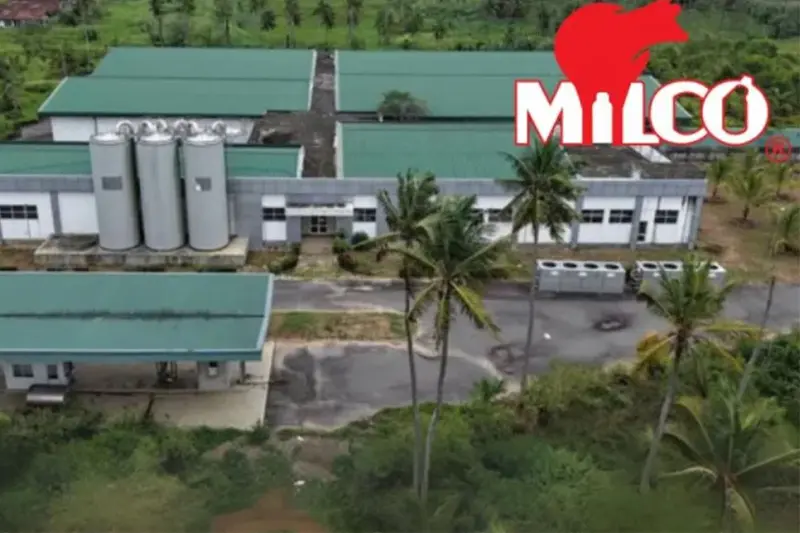 மில்ஃகோ நெருக்கடி: பில்லியன் கணக்கிலான நஷ்டத்திலிருந்து மீண்டெழுந்தது எவ்வாறு?