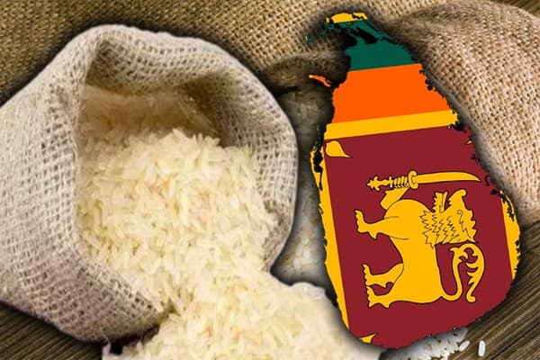 அரிசியை இறக்குமதி செய்து அரிசி மாபியாவை ஒழித்துக்கட்டுவோம்!