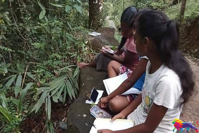 இணயவழி கற்பித்தல் தோல்வி! 2,000ற்கும் மேற்பட்ட பாடசாலைகளுக்கு சிக்கல்!