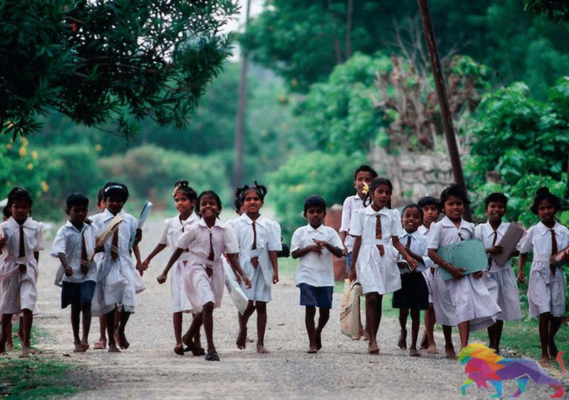 மூன்று மாதங்களுக்கு பிறகு திறக்கப்படும் பாடசாலைகள்!