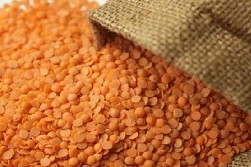 பருப்பிலும் புற்றுநோயை உண்டாக்கும் Aflatoxin!