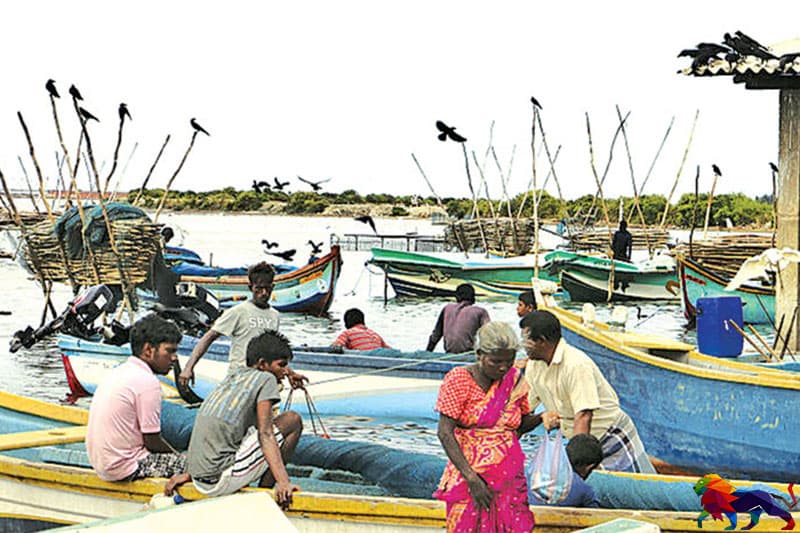 வட கடல் மீன்பிடி பிரச்சினைக்கு நேருக்கு நேர் பேச்சுவார்த்தையில் ஈடுபட இந்திய இலங்கை மீனவர்கள் விருப்பம்!
