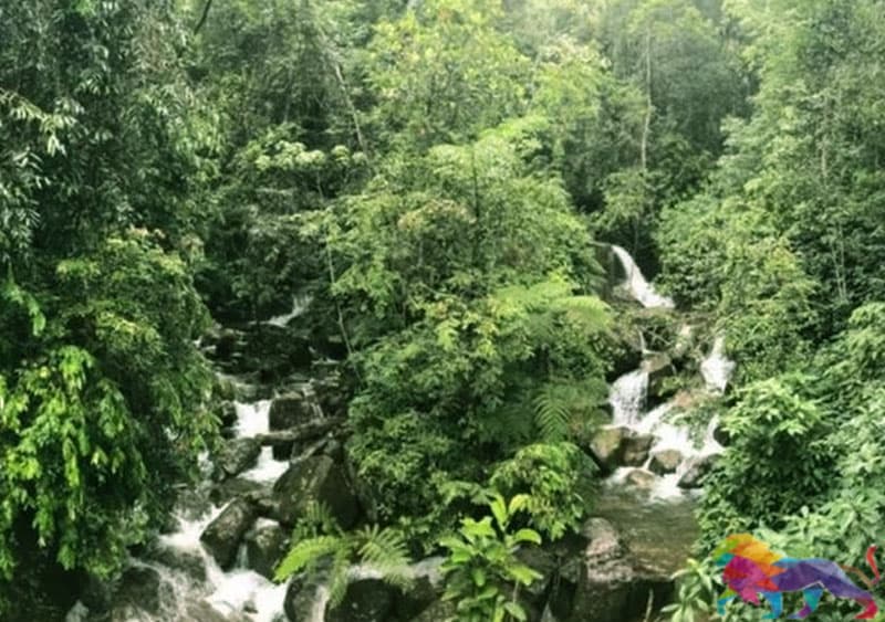 அமைச்சர் சமல் ”சிங்கராஜ குளம்” அமையவிருக்கும் இடத்தை மாற்றுகிறார்!