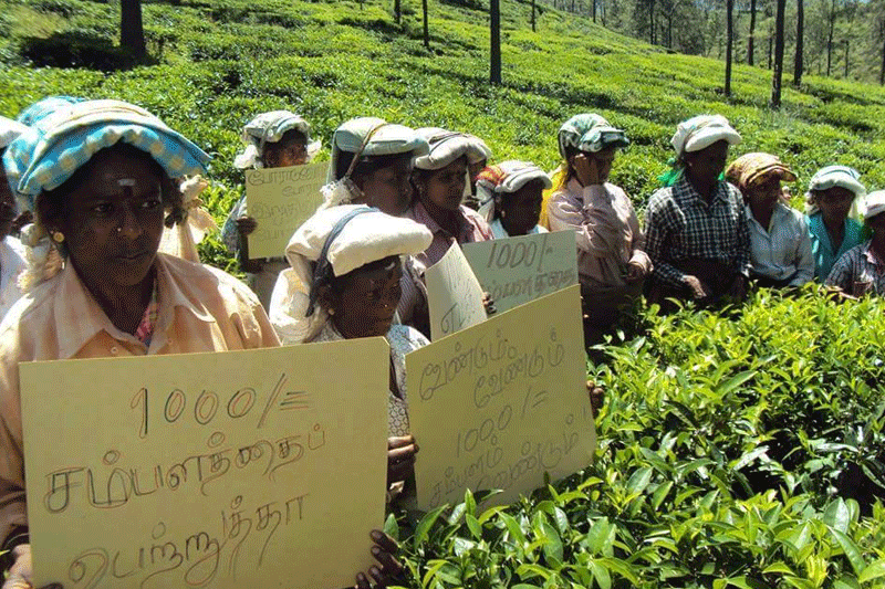 தோட்டத் தொழிலாளர்களுக்கு 700 ரூபாய் நாள் சம்பளம்!