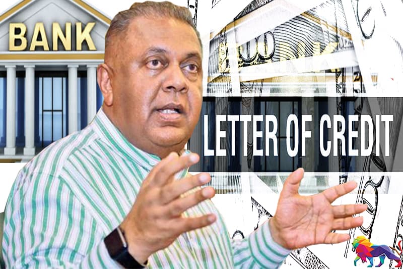 வணிக வங்கிகள் கடன் கடிதங்களைத் திறப்பதை நிறுத்திவிட்டனவா? மங்கள சமரவீர