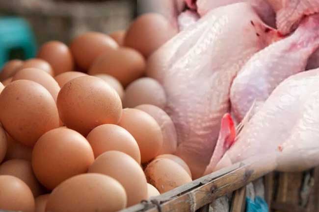 கோழி இறைச்சி மற்றும் முட்டையின் விலை அதிகரிப்பு