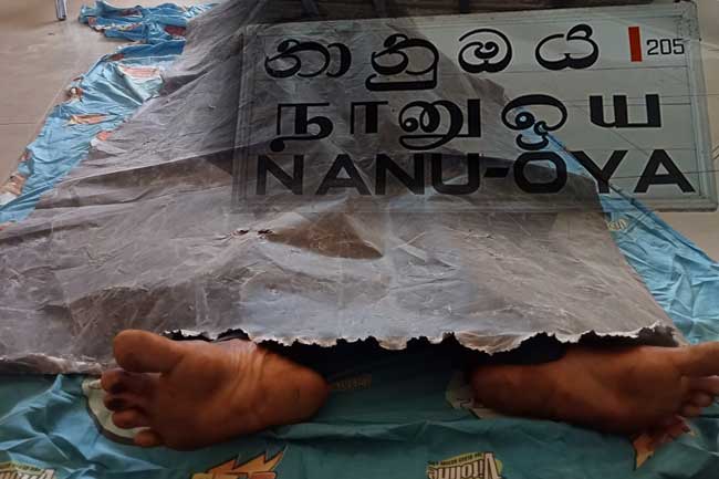 நானு ஓயா பகுதியில் ரயிலில் மோதுண்டு ஒருவர் பலி!