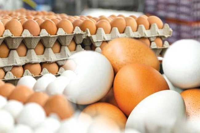 இறக்குமதி செய்யப்பட்ட முட்டை குறித்த அறிவிப்பு