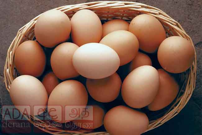 முட்டை இறக்குமதி தொடரும் என அறிவிப்பு