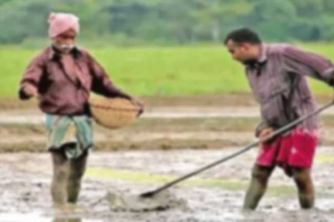 1000 ரூபாவால் குறைவடையும் உரம்!