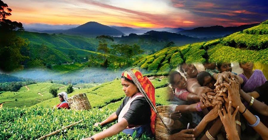 'பெருந்தோட்டத் தொழிலாளர்களை 'மலையக உழைக்கும் சமூகம்' என அழைக்கவும்'