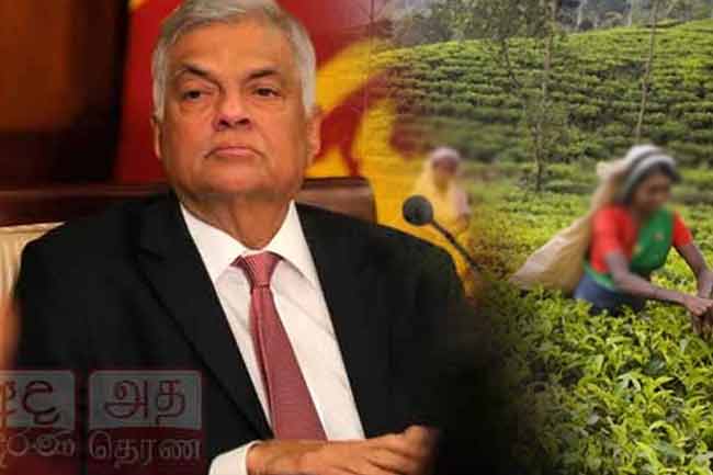 ஜனாதிபதியின் பணிப்புரையின் கீழ் பெருந்தோட்டத் துறையில் இடம்பெறவுள்ள மாற்றம்!