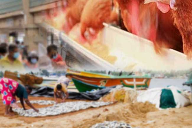 கோழி இறைச்சி, மீன் விலை குறித்த தீர்மானம்!