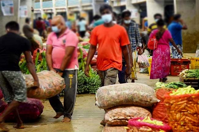 மரக்கறிகளின் விலையில் பாரிய வீழ்ச்சி
