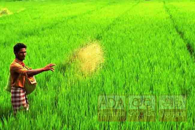இலவச உரம் வழங்கும் வேலைத்திட்டம் ஆரம்பம்