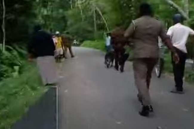 பிரதி அதிபர் மீது துப்பாக்கி சூடு - 4 பொலிஸ் குழுக்கள் நியமனம்