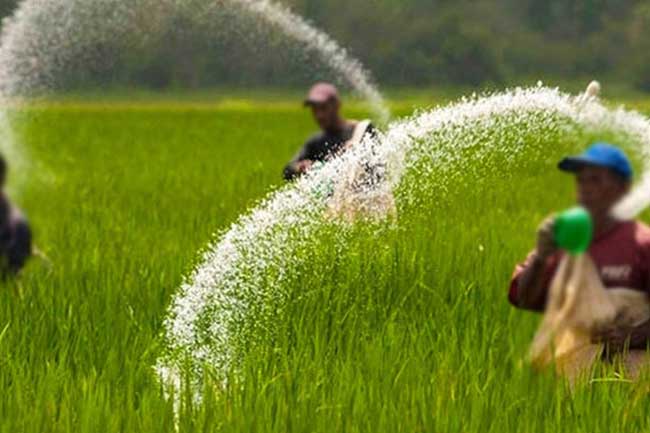 யூரியா உரத்தின் விலை குறைப்பு!