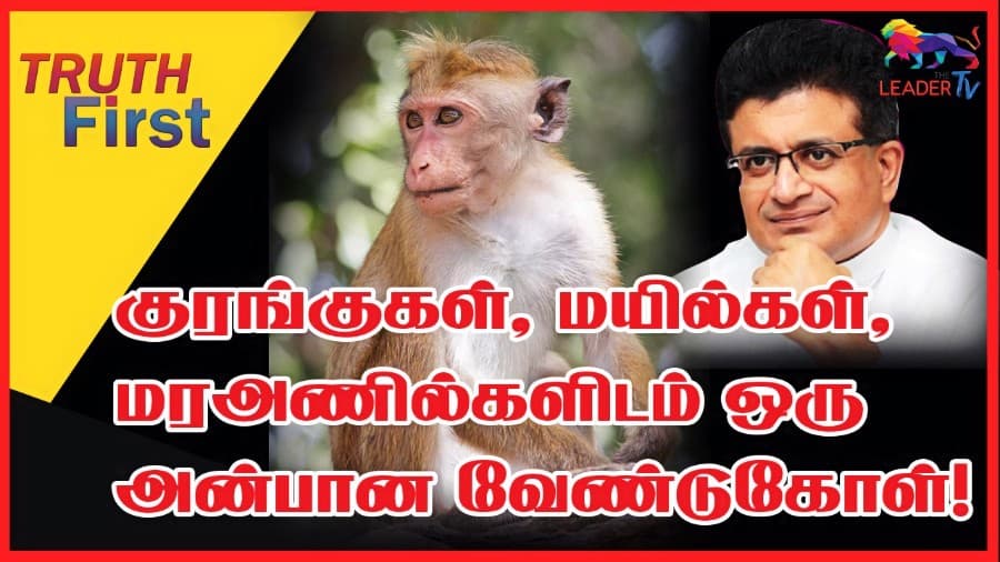 குரங்குகள், மயில்கள், மரஅணில்களிடம் ஒரு அன்பான வேண்டுகோள்!