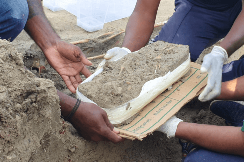 செம்மணி மனிதப் புதைகுழியில் 245 மனித உடல்களுக்குரிய எச்சங்கள்!