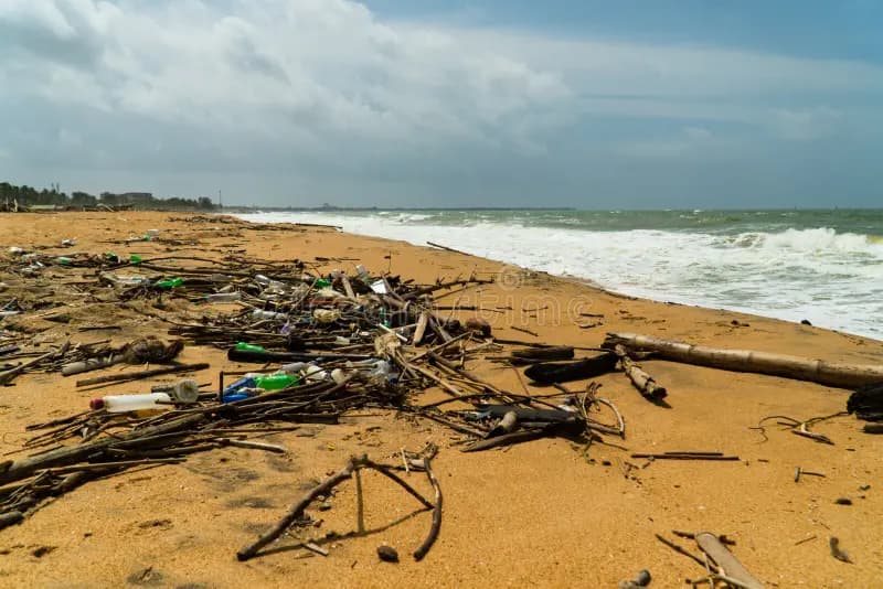 கடற்கரைகளில் கொட்டப்படும் கழிவுகளின் பிராண்டுகளுக்கு எதிராக வழக்கு!