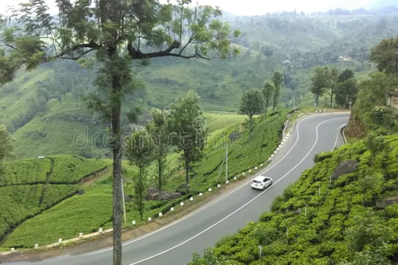 மத்திய மலைநாட்டு வீதிகளின் இருபுறமும் பாதுகாப்பு வேலி அமைக்க நடவடிக்கை!