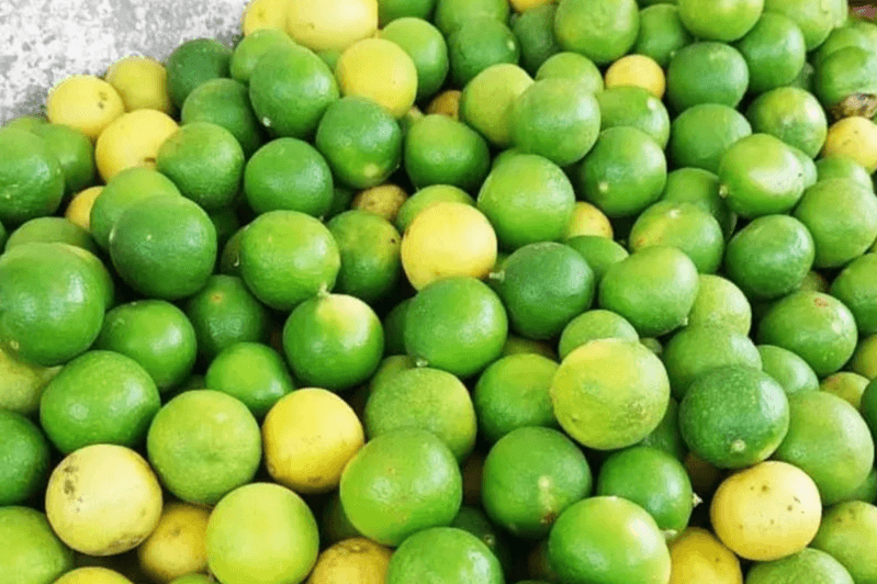 ஒரு கிலோ எலுமிச்சை விலை ரூ. 1,500ஆக அதிகரிப்பு!