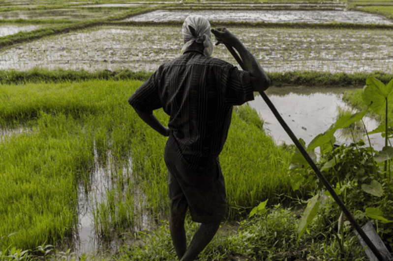 அனைத்து விவசாயிகளையும் Online மூலம் பதிவு செய்யும் நடவடிக்கை ஆரம்பம்!