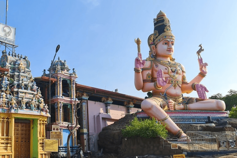 கோணேஸ்வரத்துக்கு உரித்தான 247 ஏக்கர் நிலப்பரப்பை இழக்கும் அபாயத்தில் கோயில் நிர்வாகம்!