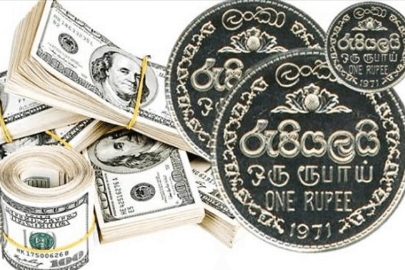 USA டொலரின் பெறுமதி ரூ. 310 ஐ தாண்டியது!