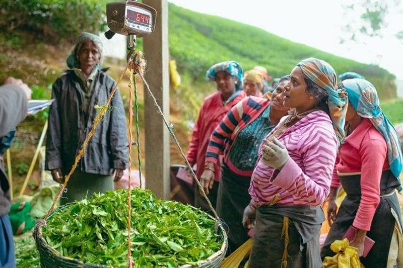 துயரத்தைச் சுமந்து உலகுக்குத் தெரியாமல் அழும் பெண்கள்!